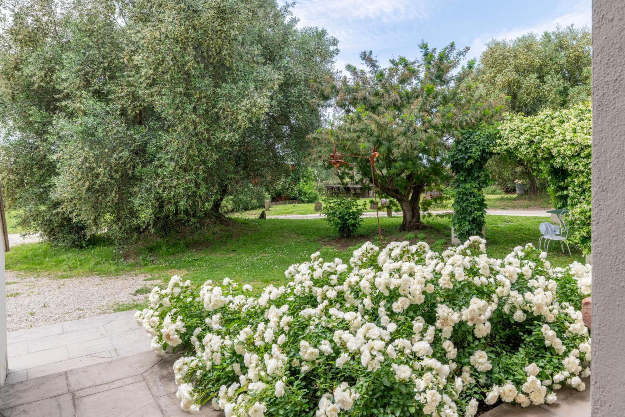 Cantagrillo Boutique Resort Βίντσι Εξωτερικό φωτογραφία